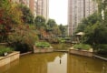 海科名城9