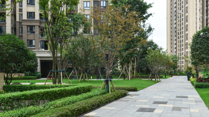 上东汇菁澜三组团外景图