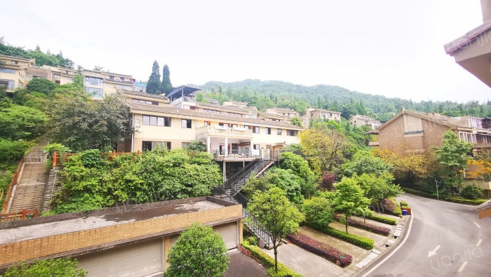 都江之春外景图