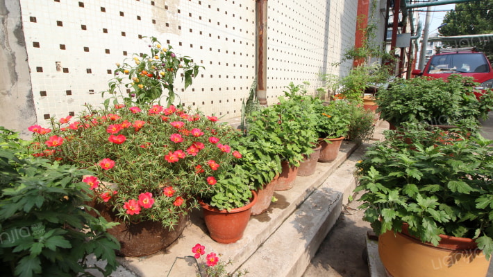 同心园小区外景图