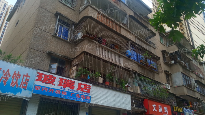 市委宿舍外景图