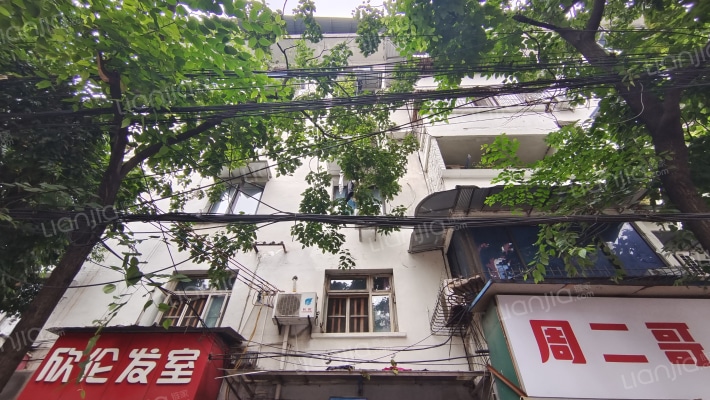 拐枣树街16号外景图