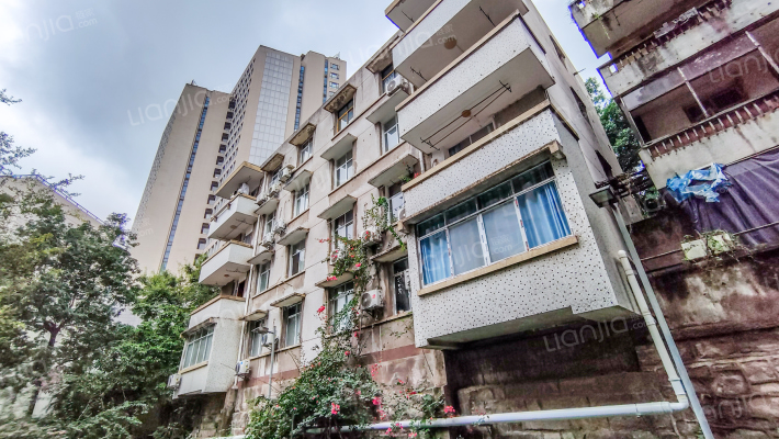 袁家岗居住区外景图