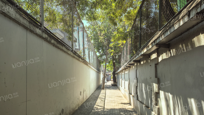 智德东巷外景图