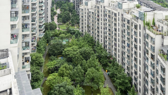 天阳上河外景图