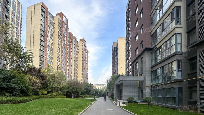 林隐天下三期外景图