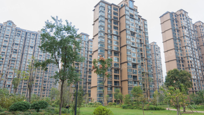 湖畔嘉苑外景图