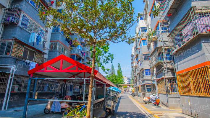 桃西路6号外景图