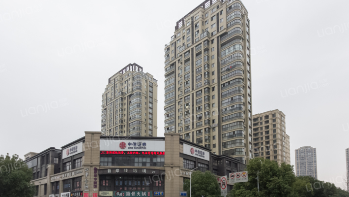 顶御华府外景图