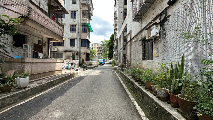 江南大道南水厂宿舍外景图