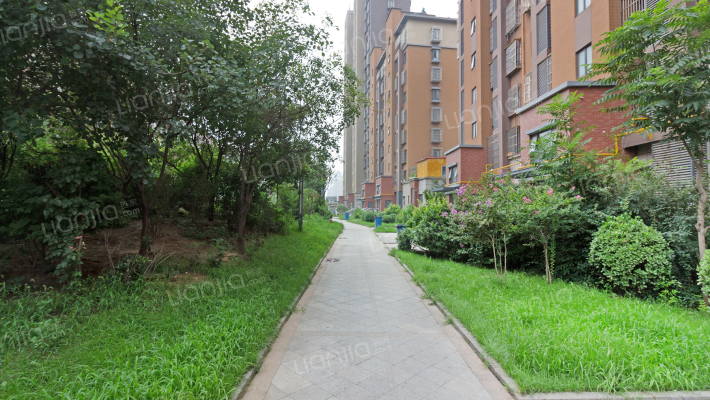 凤凰世嘉外景图