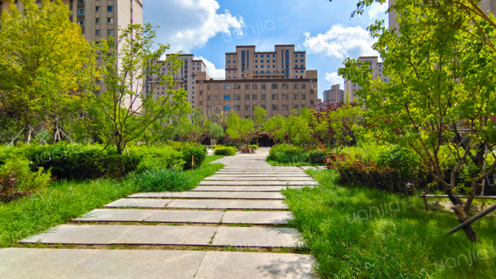 南城枫景外景图