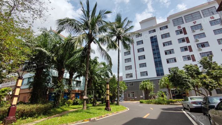 城西农业学校职工宿舍外景图