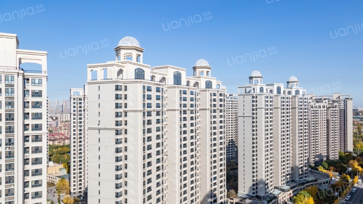 华业东方玫瑰D区外景图