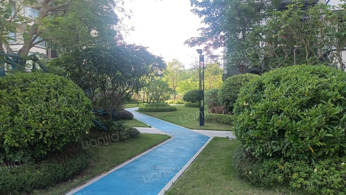 中南十洲外景图