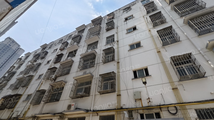 棉麻宿舍外景图