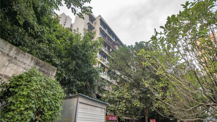 玉灵洞203号外景图