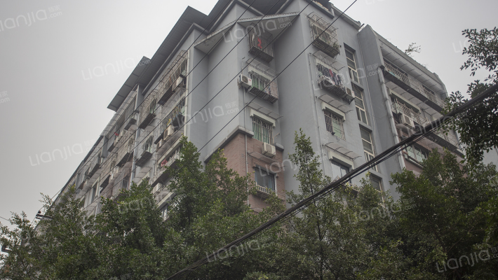 宝圣东路散排外景图