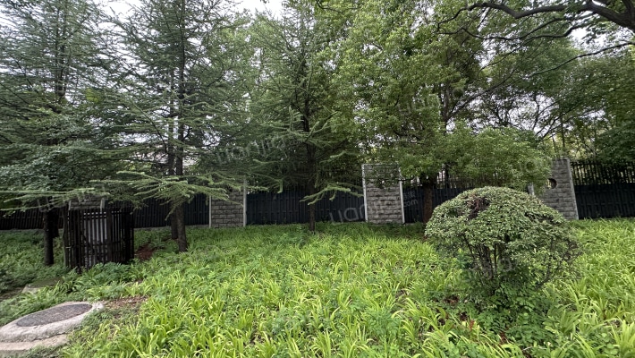 太阳花园外景图