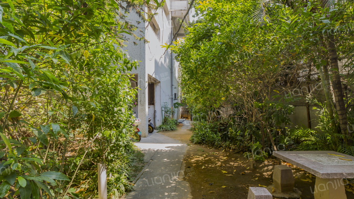 环南四村外景图