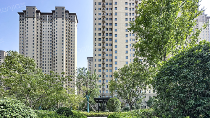 苏宁雲著外景图