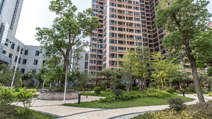 颐兴公寓外景图