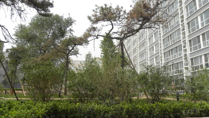 复兴路83号院外景图