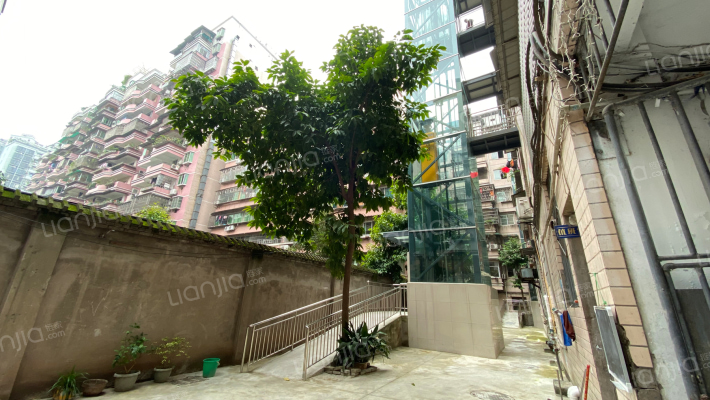 林业局家属院外景图