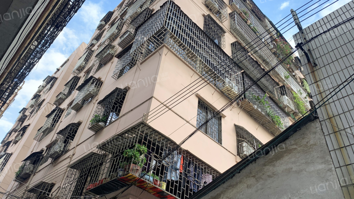 育英路东四巷外景图