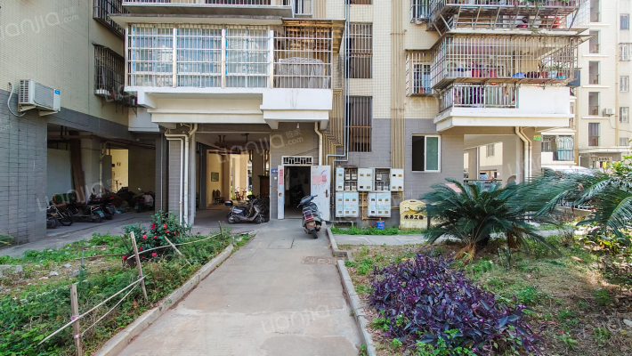 大儒世家花园外景图