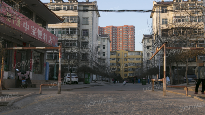 桃杏村小区B 区外景图