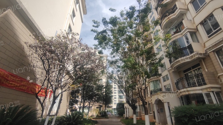 云波小区南区外景图