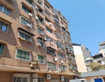 建设路286号