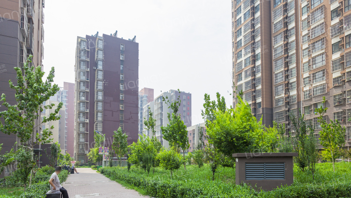 荷花盛世外景图