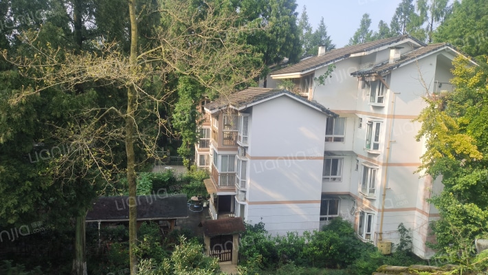 中国青城1期外景图