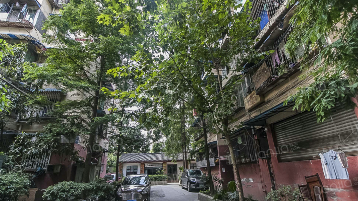 东光街5号外景图