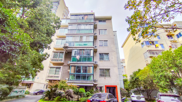 同乐路537号外景图