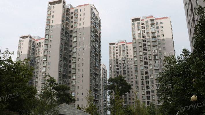 普照兴园外景图