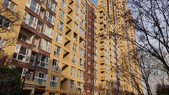 龙湖花千树外景图