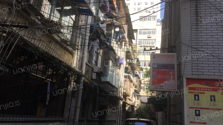 槐树街24号外景图