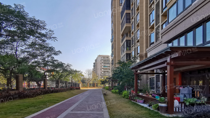 金枋至尊外景图