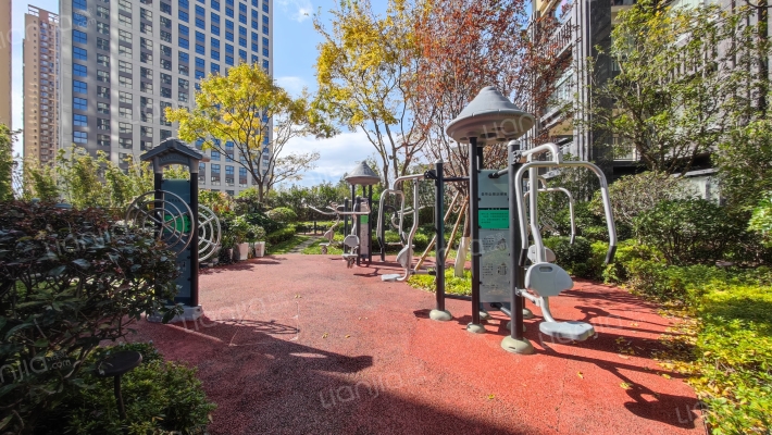 假日城市芳华外景图