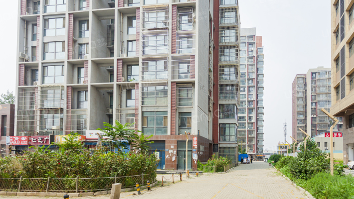 荷花上院外景图