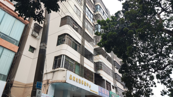 荔苑公寓楼外景图