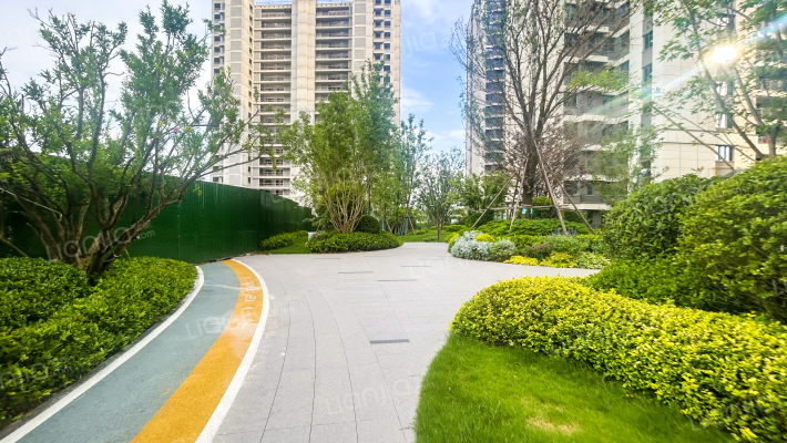 金辉鹿鸣长滩外景图
