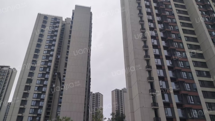 新希望万科知园外景图