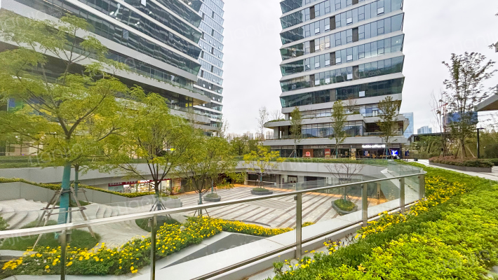 白桦林金融创新中心外景图