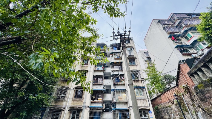 红育坡82号外景图