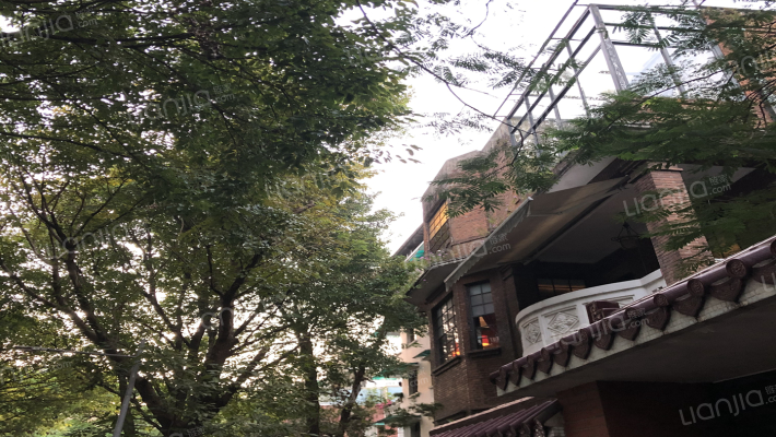 新兴路外景图