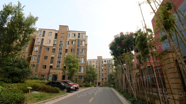 东郊小镇第五街区外景图